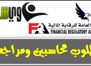 اعلان وظائف للمحاسبين بالرقابة المالية المصرية حتي 8 يوليو 2018
